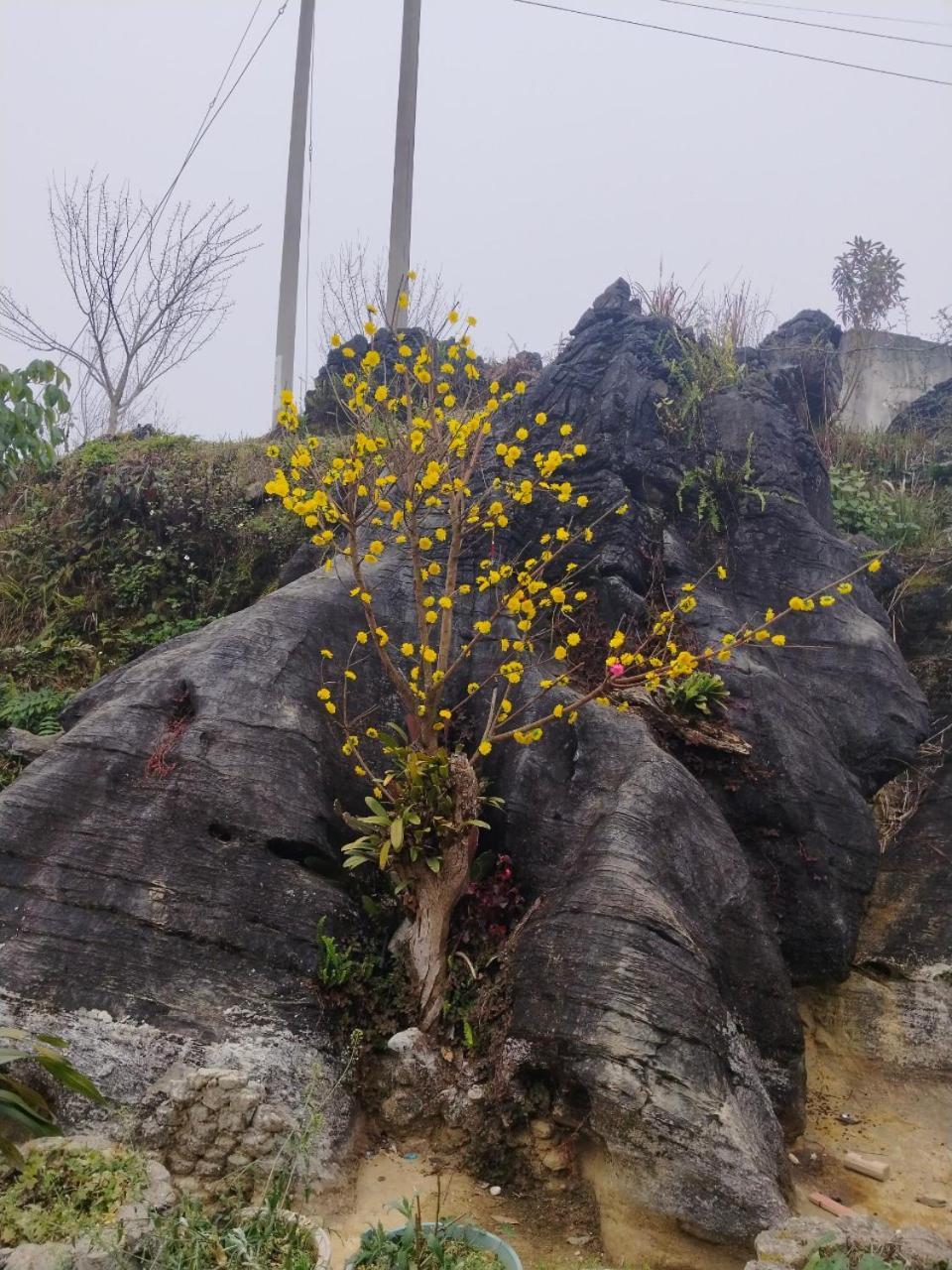 Ta Van Chu Homestay Bac Ha  Εξωτερικό φωτογραφία